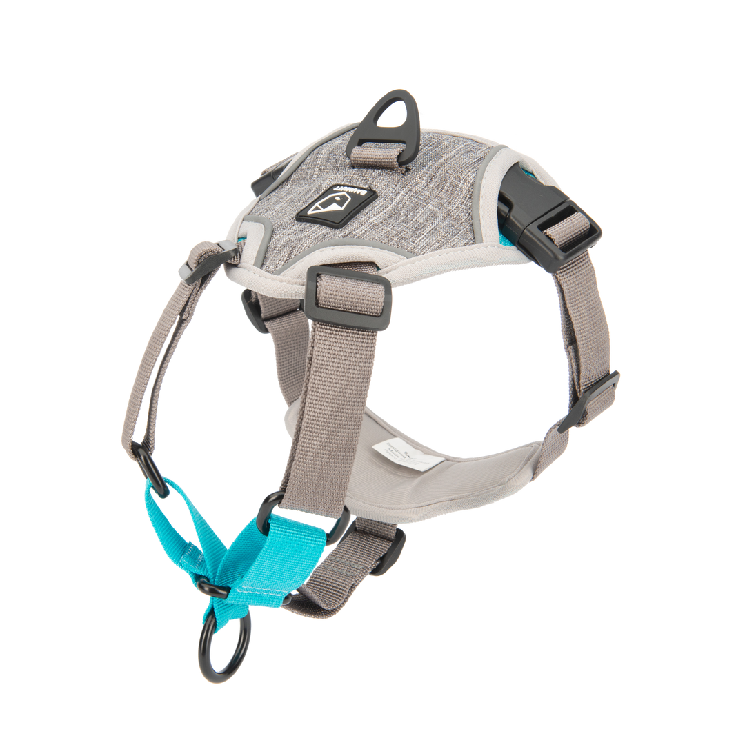 BAUMUTT no pull dog harness, stone sku (aqua blue and grey), side view transparent
