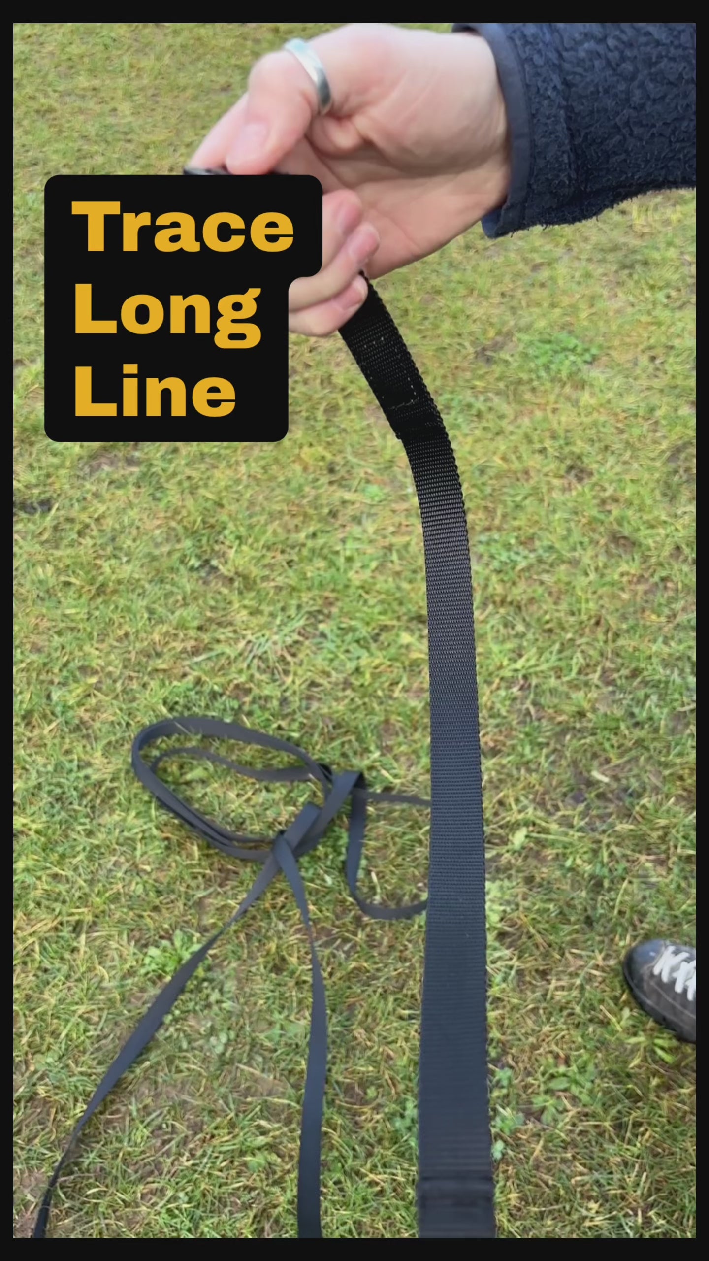10m dog training long line by Baumutt, showing a lightweight 5kN aerospace-grade carabiner and flexible 20mm nylon recall leash for professional dog training and recall.