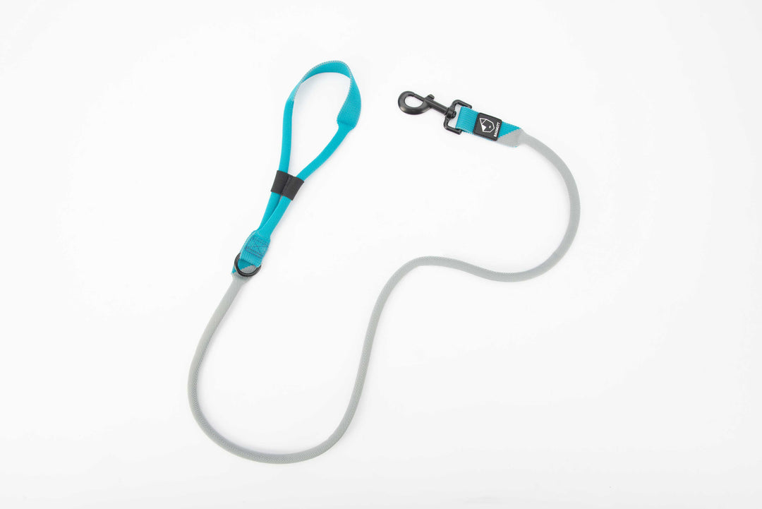 Baumutt blue and grey hands free dog leash, view from top