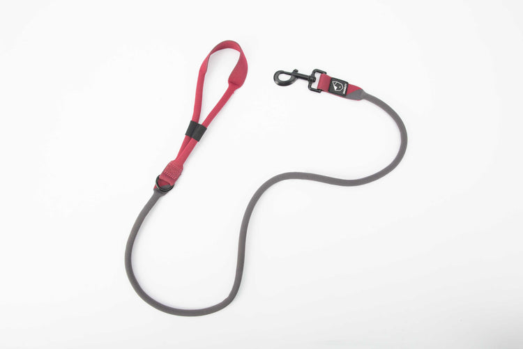 Baumutt Burgundy and dark grey hands free dog leash, view from top