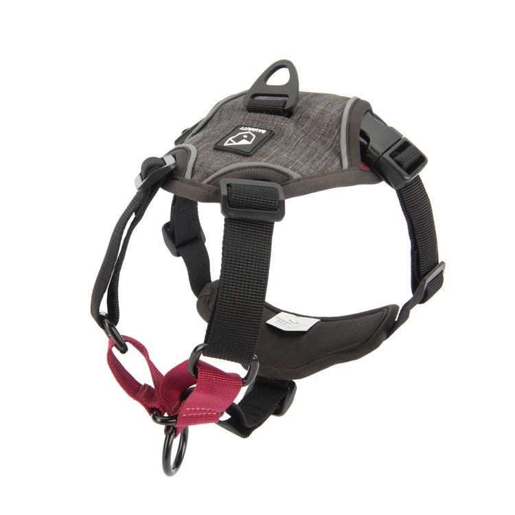 BAUMUTT no pull dog harness, dusk sku, side view transparent 