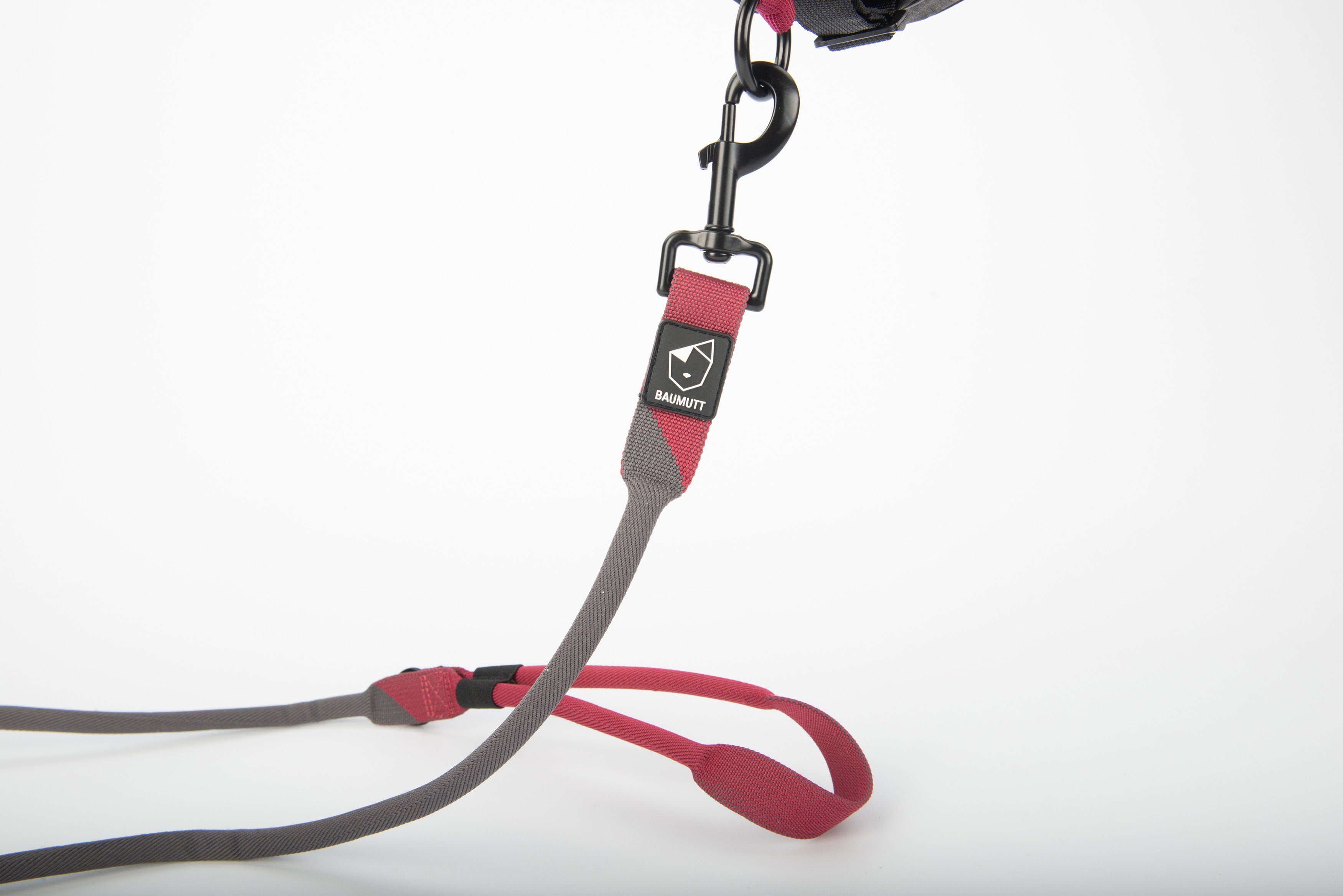 baumutt burgandy and dark grey LAXO hands free dog leash, clip connected to front harness O-ring