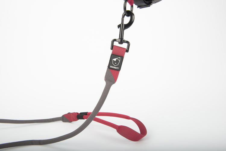 baumutt burgandy and dark grey LAXO hands free dog leash, clip connected to front harness O-ring